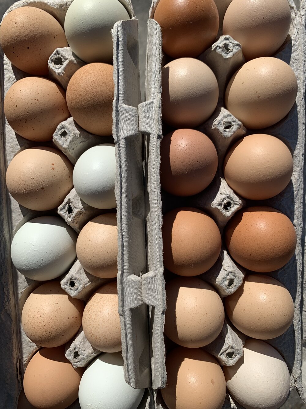 Farm Fresh Egg Rack -  Sweden